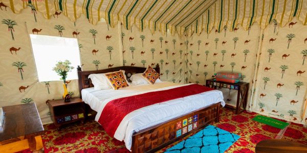 WhatsApp Image 2025-03-11 at 4.21.21 PM